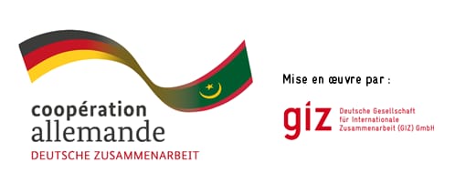 GIZ